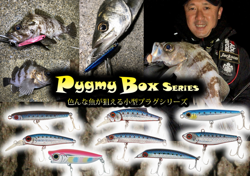 Pygmy Box (ピグミーボックス) シリーズ】港湾エリアで色んな魚が
