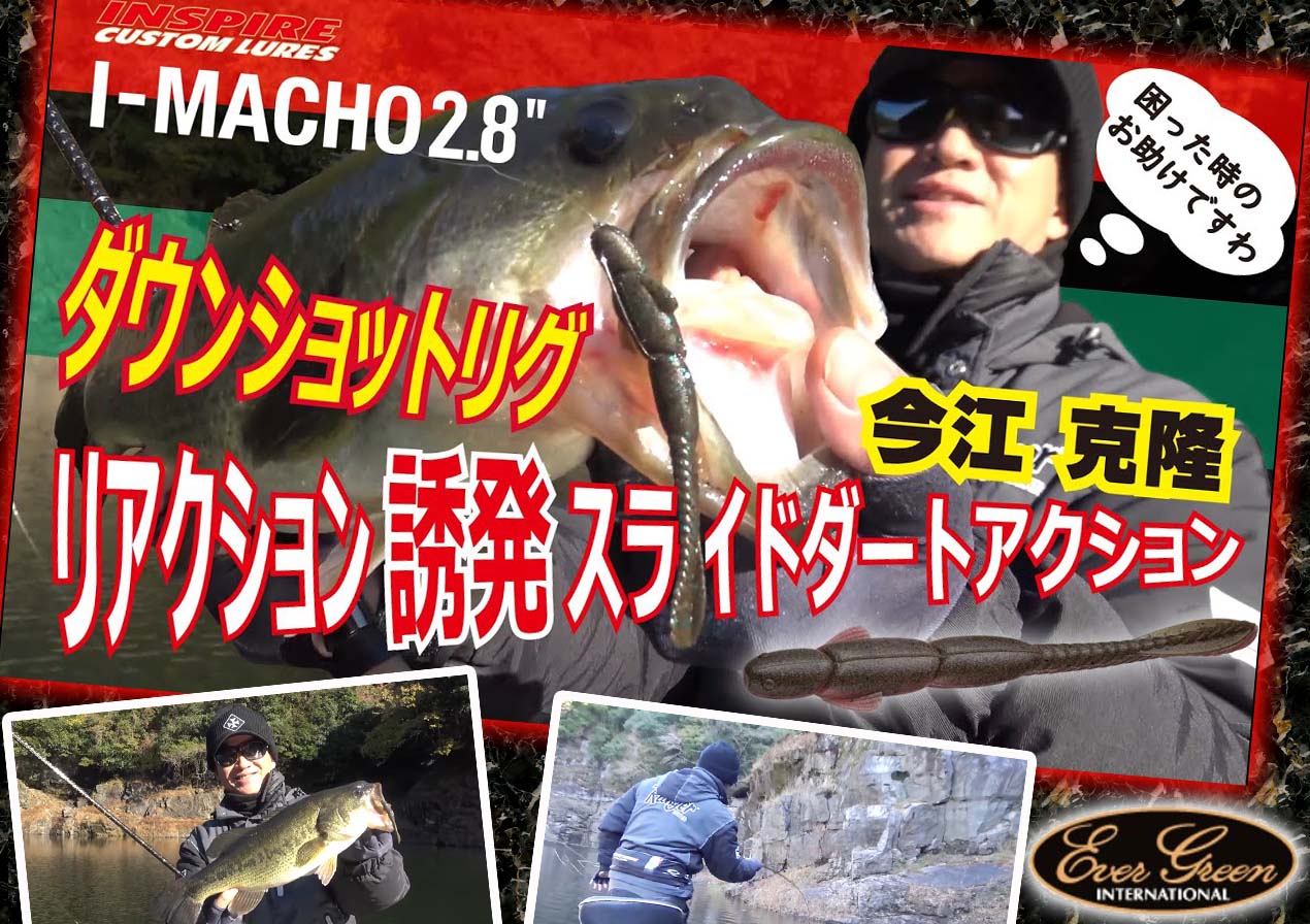 冬とは思えない釣果】ダウンショットが激ヤバ！今江克隆のエバー