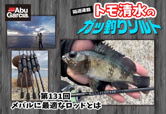 アブガルシア(Abu Garcia)] エラディケーター リアルフィネス 