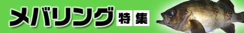 メバリング特集2020