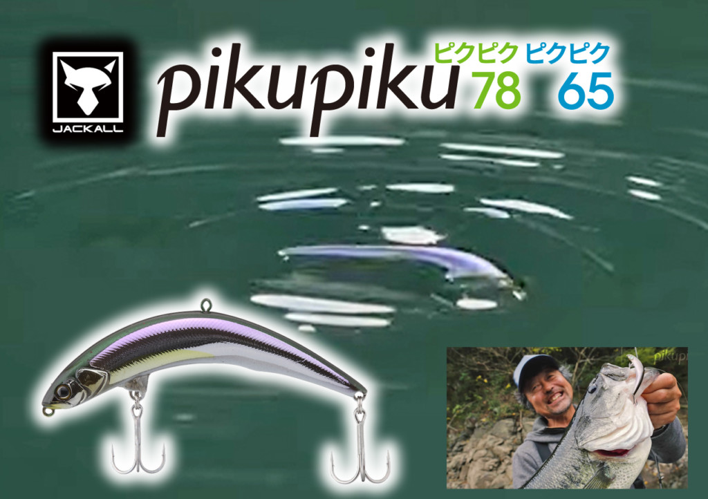 ピクピク65 ピクピク78】加藤誠司が監修！ピクピク攻めができるプラグ