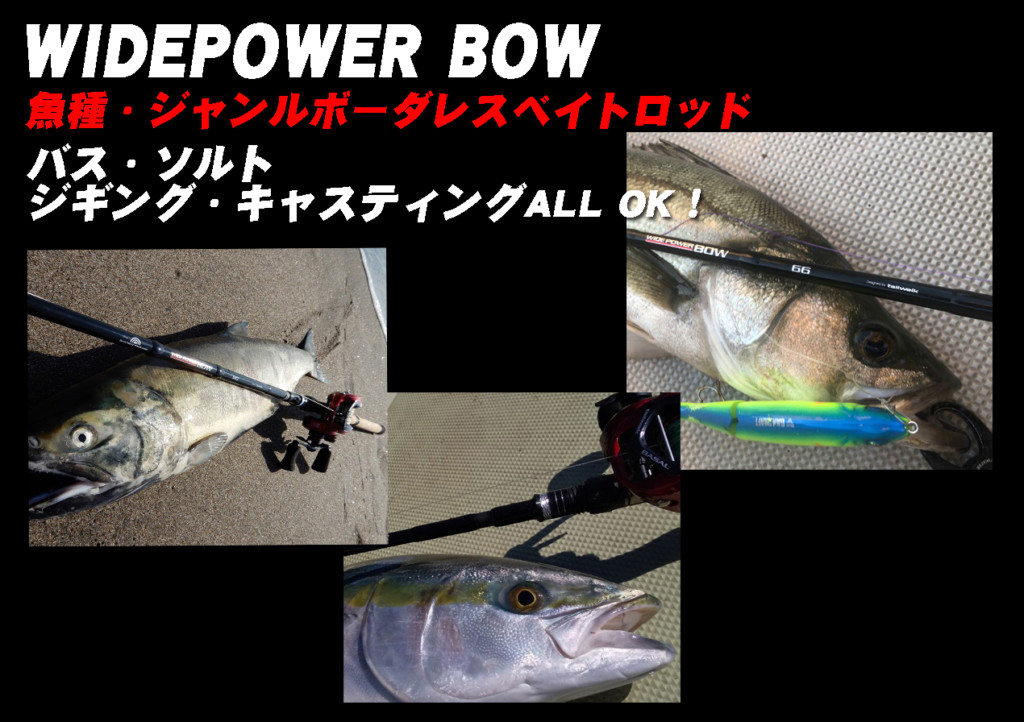 キャスティング・ジギングOK！魚種・ジャンルを超えた