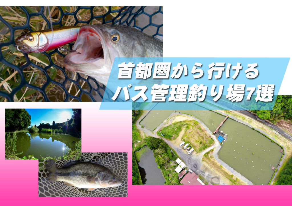 21年まだバス釣っていない方必見 関東近辺のバス管理釣り場7選 釣りの総合ニュースサイト Lurenewsr ルアーニュース アール