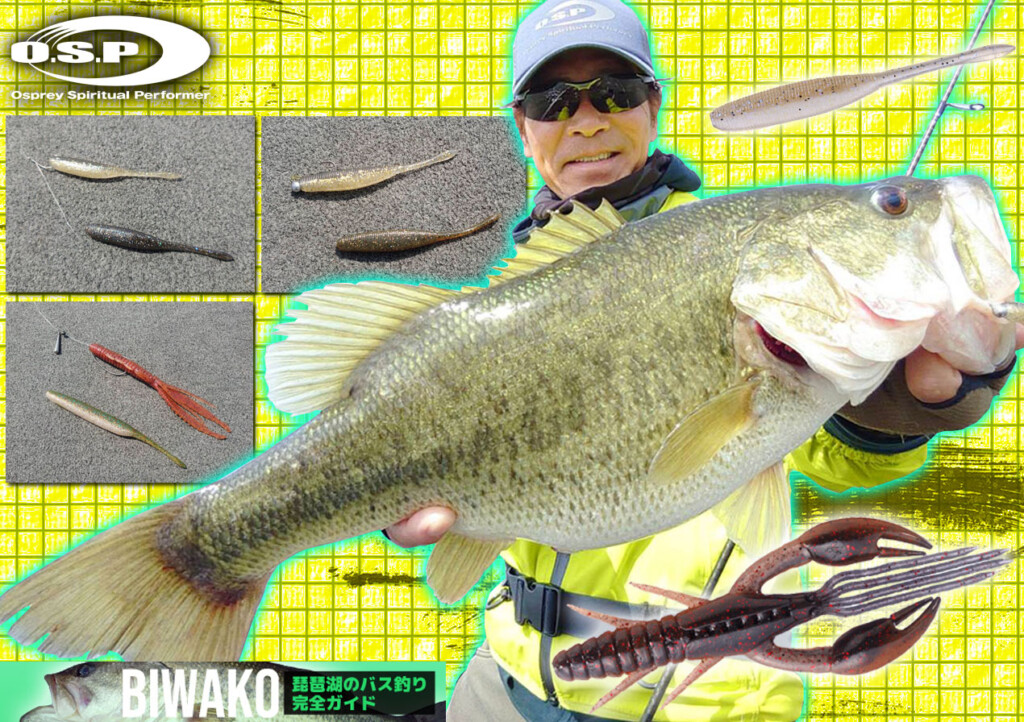 バス釣り引退セット✴︎みーちゃん バス釣り引退セット✴︎みーちゃん バス釣り引退セット✴︎みー