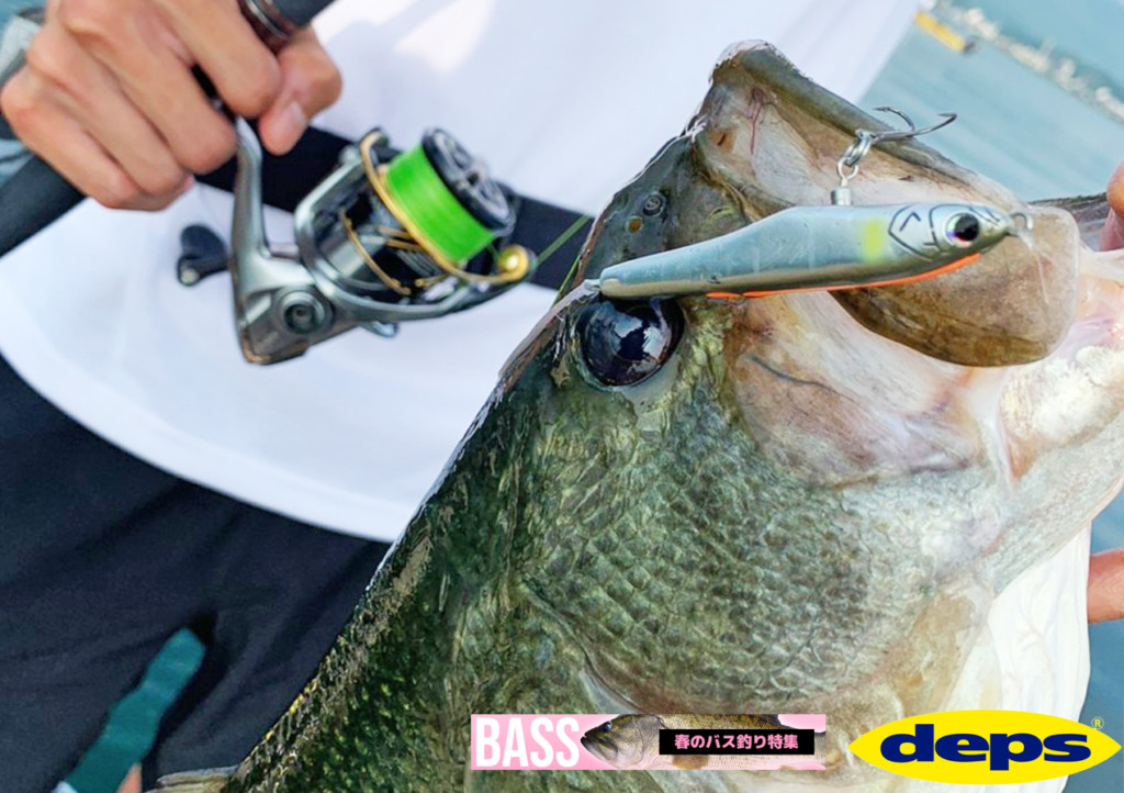 バス釣り引退セット 全約172点(ルアーワーム約136点)｜Yahoo