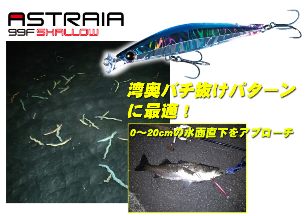 湾奥バチ抜けパターンに最適！水面直下を誘うミノー！エクリプスの