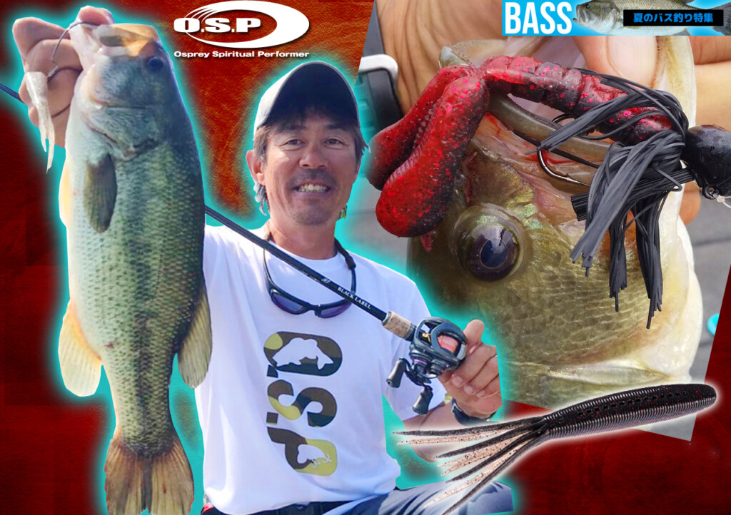 4c85c234076325c638e2c305400f29