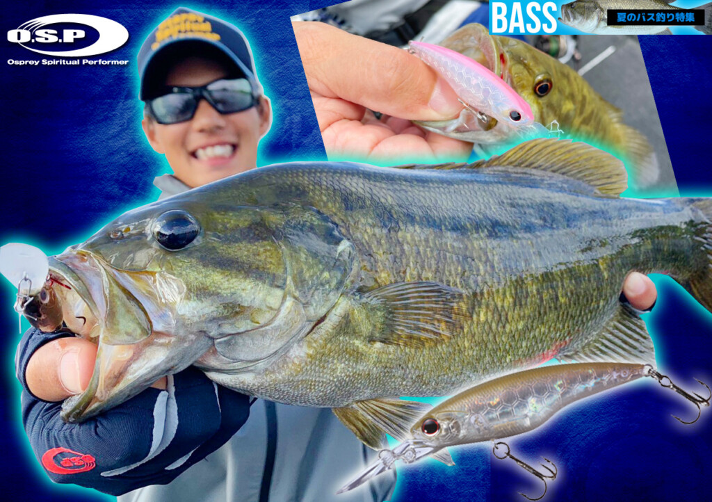 夏のディープ攻め最強釣法】野尻湖ガイド林晃大が解説！「ハイカット