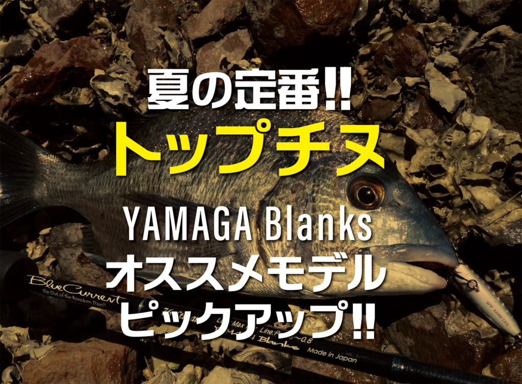 夏の定番！トップチヌ（クロダイ）】ヤマガブランクス・トップ