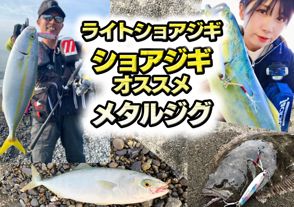 THE GALLO ギャロ　ジップアップフーディ ギャロップアシストフォールエディション | ジャクソン