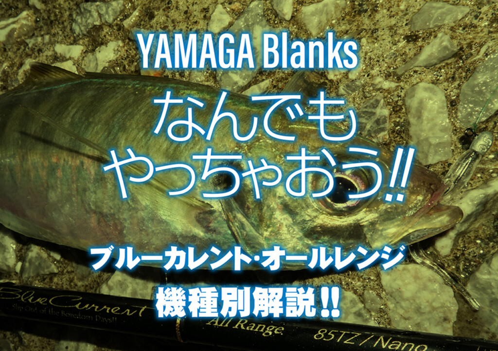 なんでもやっちゃおう】ライトゲームの世界を広げる！ヤマガ