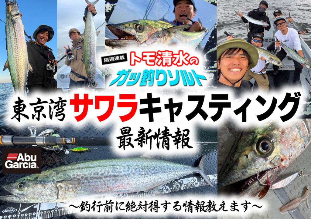 東京湾サワラキャスティング最新情報 釣行前に絶対得する情報教えます 釣りの総合ニュースサイト Lurenewsr ルアーニュース アール