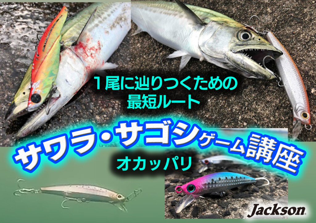 サワラ サゴシゲーム講座 １尾に辿りつくための最短ルート 釣りの総合ニュースサイト Lurenewsr ルアーニュース アール