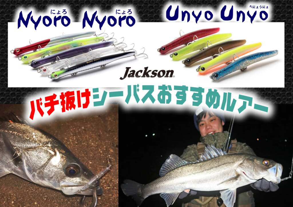 シーバス バチ抜け ルアーまとめ売り にょろにょろ エンヴィ マニック シーバス バチ抜け ルアーまとめ売り にょろにょろ エンヴィ