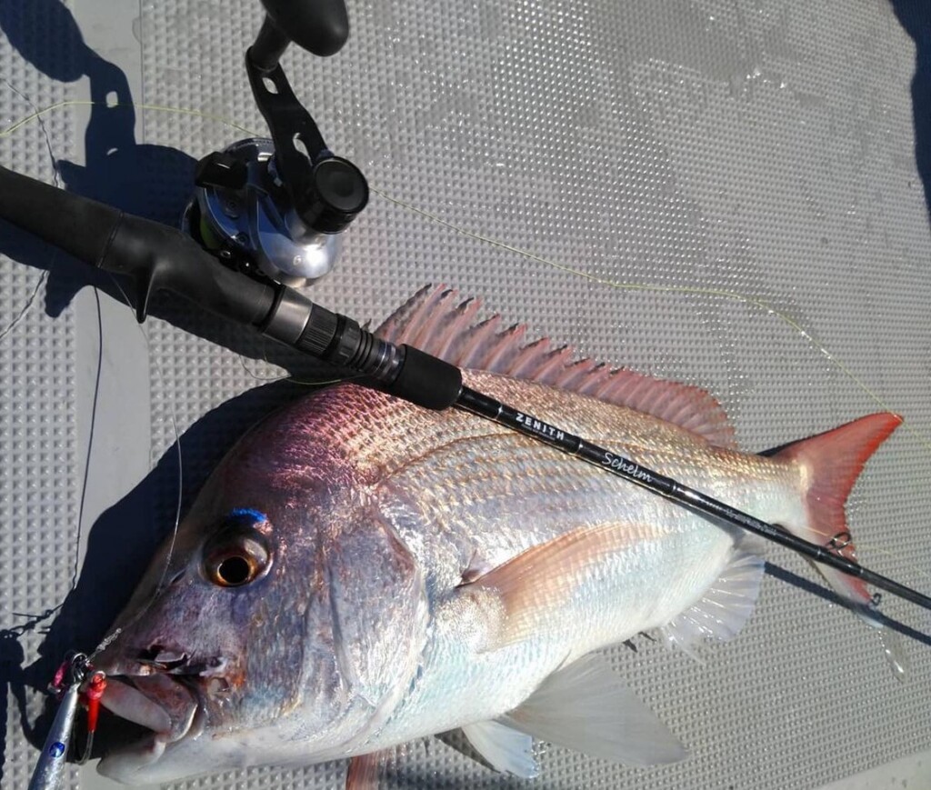 船のルアー釣りで、持っておくと何かと助けてくれるゼニスのロッド