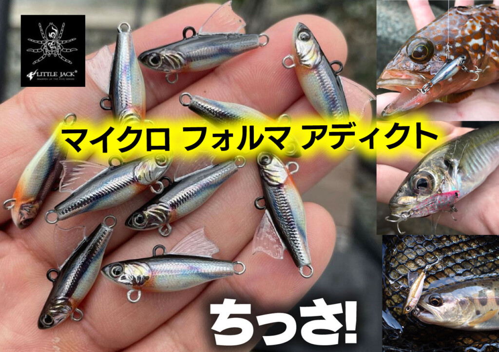FACTOTUM ファクトタム シングルショートライダース アーカイブ 激レア エクストラパック 第37弾 アイドル♪アメイジングギフト ｜ Z/X