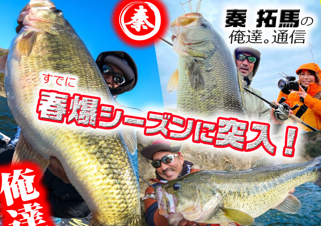 バス釣りワームまとめ売り30点マルハタ商店 秦拓馬 俺達。未使用