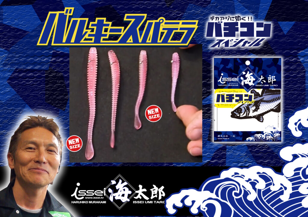 アオハルデイズ 来海 SP ホビーステーションシングル通販店 / アオハルデイズ 来海(SP)