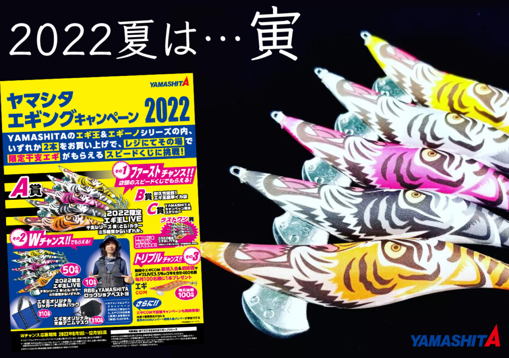 いけ！いけ！】アツすぎる。今年の夏と「ヤマシタエギング