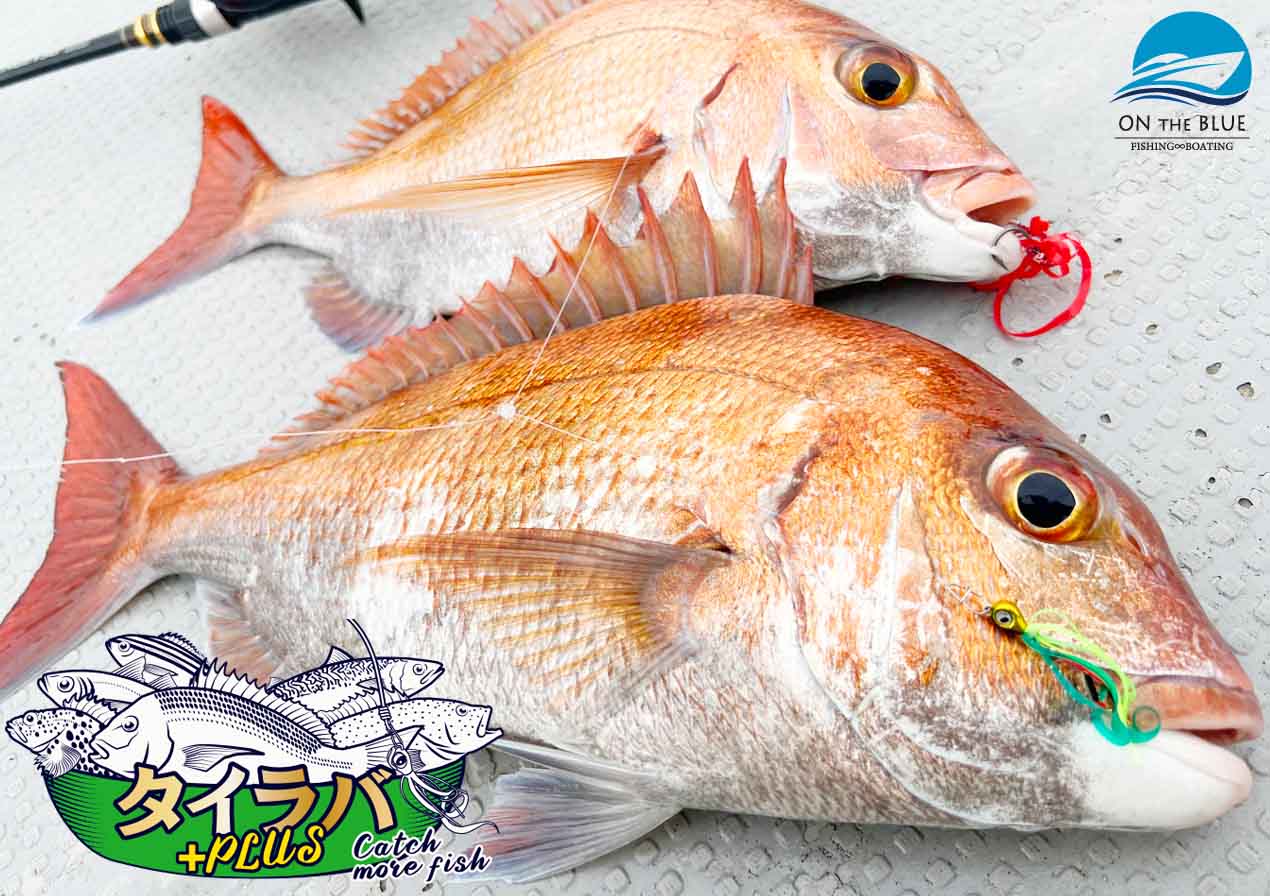 もっと釣りたい という釣り人の想いを タイラバplus が叶えます 釣りの総合ニュースサイト Lurenewsr ルアーニュース アール