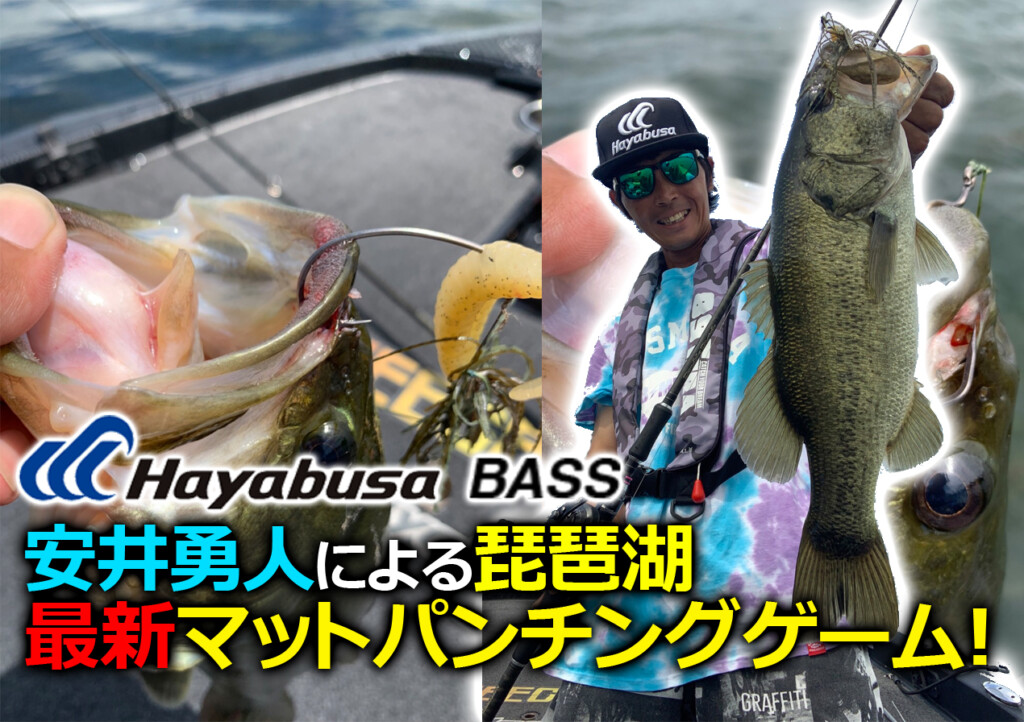 琵琶湖 ハヤブサプロスタッフ 安井勇人による琵琶湖 最新マットパンチングゲーム 釣りの総合ニュースサイト Lurenewsr ルアーニュース アール