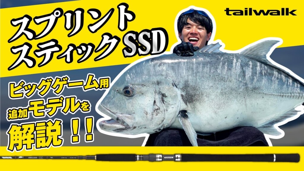 大型魚狙いのオフショアキャスティング、リーズナブルで高性能なロッド 