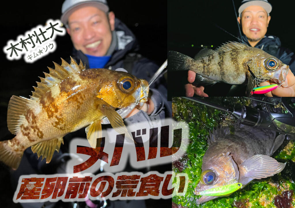 メバルプラッギングが激アツな時期がきたっ! アスリート45LLメバル