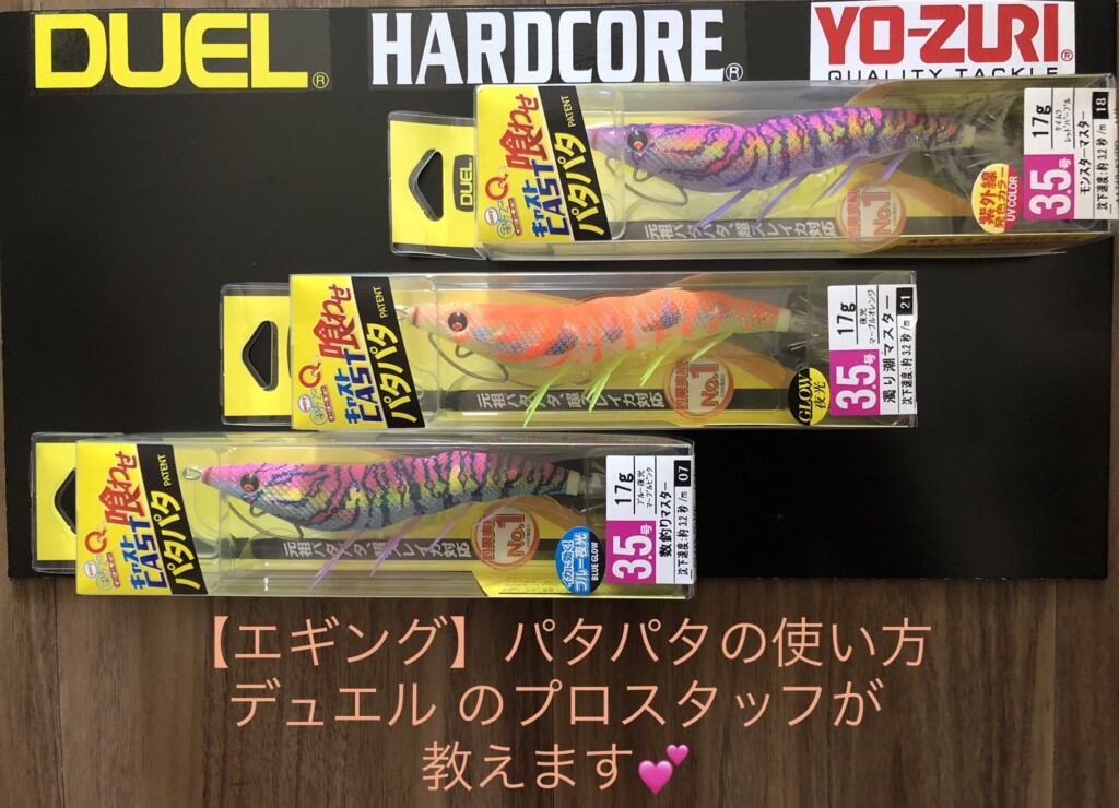 パタパタ」エギの操作方法が分かりません！ その声に池内修次が応え