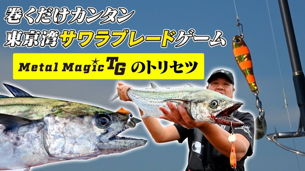 サワラ・東京湾・メタルマジックTG…コレは釣れる方程式!? | 釣り