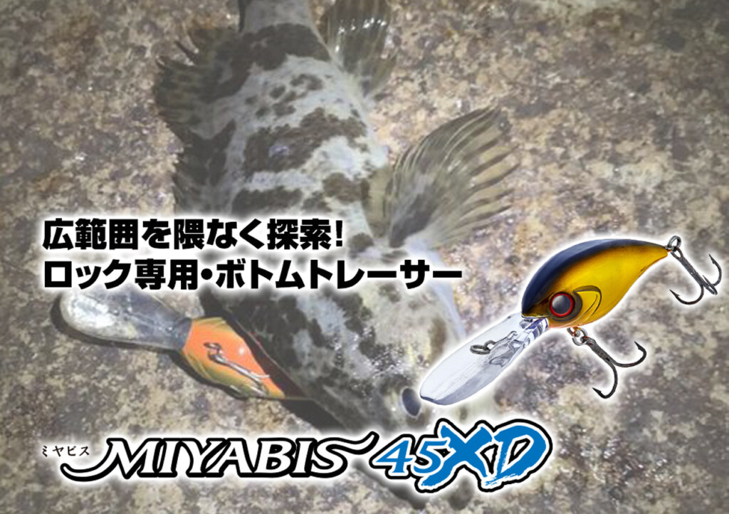 潜行深度は最大4m+】アクアウェーブのロックフィッシュ用