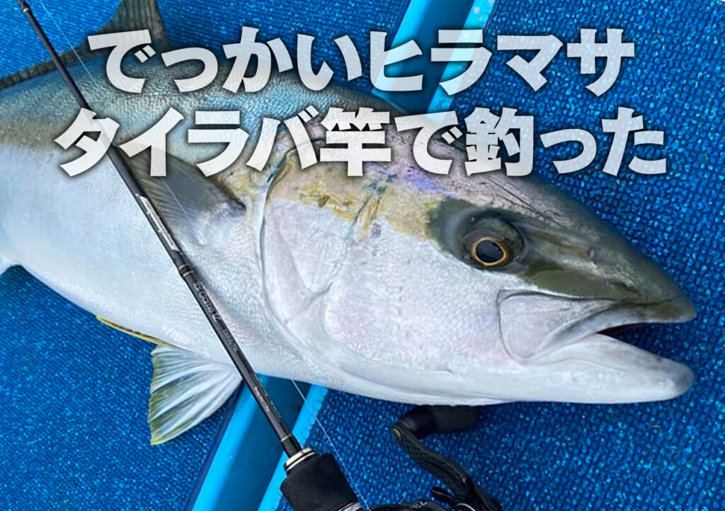 ヒラマサ竿 がま磯 ヒラマサ天剛2 フカセ 5.0m – フィッシングマックス WEBSHOP