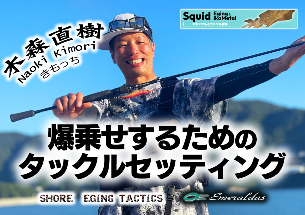 【新品未使用】エギマニアックス PEライン2種&リーダーセット 新品未使用】エギマニアックス PEライン2種&リーダーセット