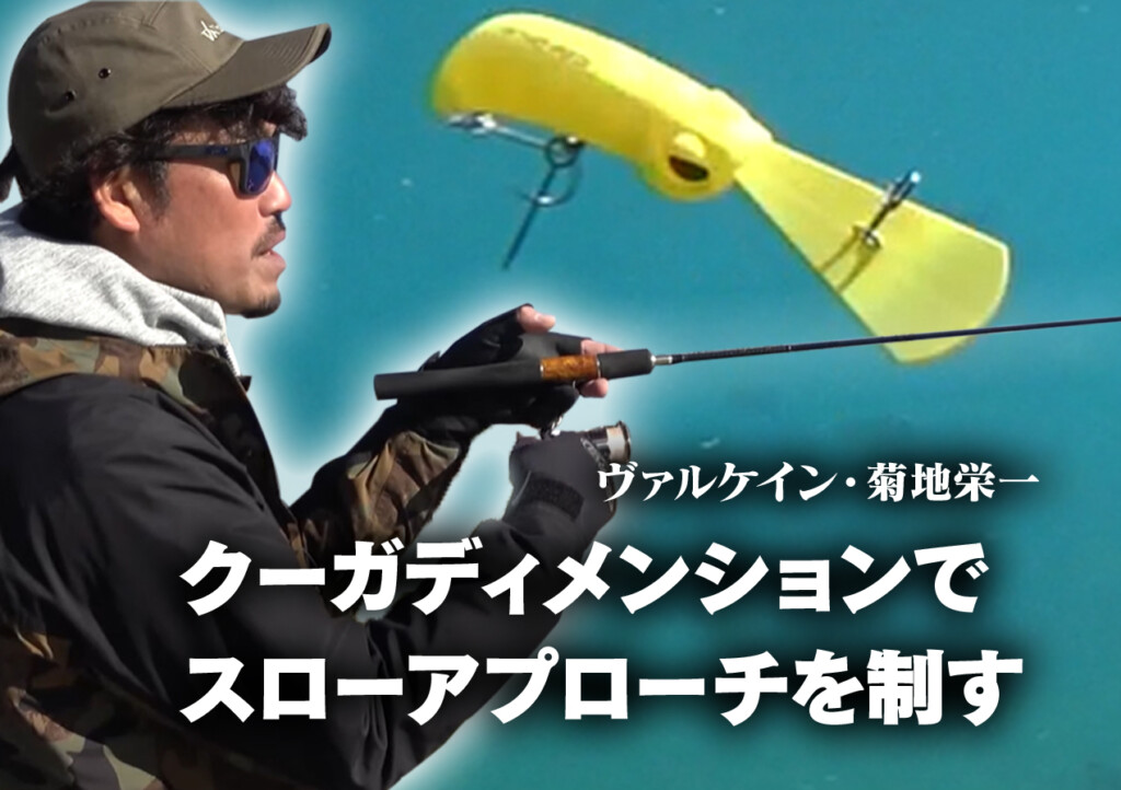 ヴァルケイン「クーガディメンションL」の特徴とノーマルサイズ