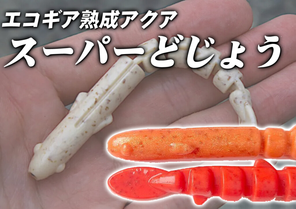 タチウオからロックフィッシュ・シーバス・フラットフィッシュ