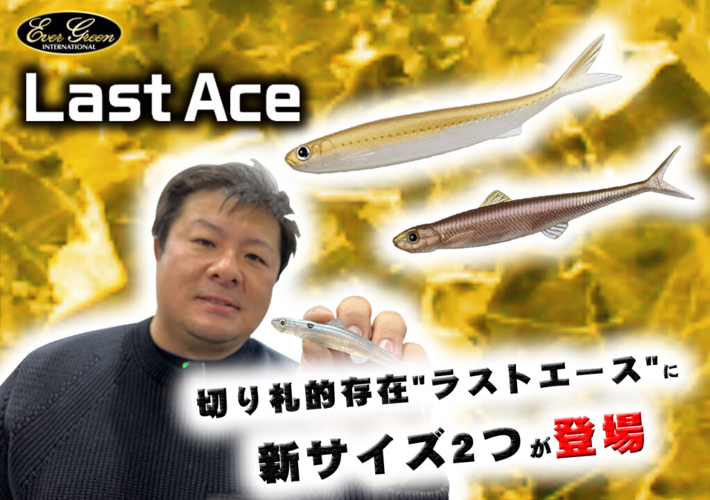 新品 ラストエース 20個セット エバーグリーン | monsterdog.com.br