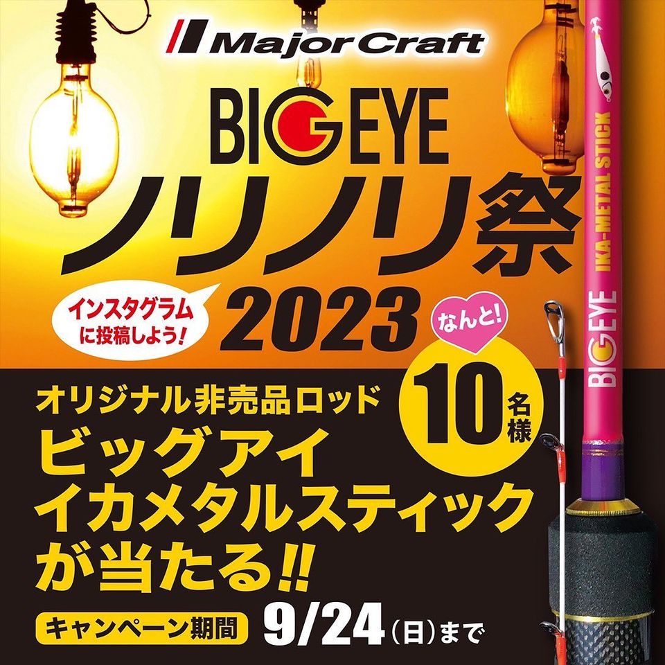 BIGEYE IKA-L STICK 限定ロッド ビッグアイ イカメタル カラーローテーションで、もっと乗せようイカメタル！BIGEYE（ビッグ