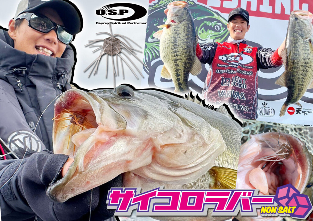 M.B.F.T開幕戦優勝】O.S.P“林晃大”が明かす「サイコロラバー」を