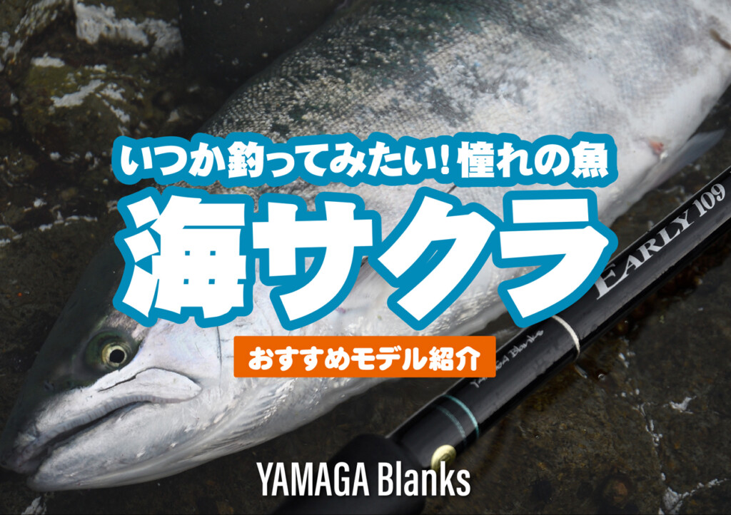 いつか釣ってみたい！憧れの魚】シーズン最盛期！北海道の「海サクラ