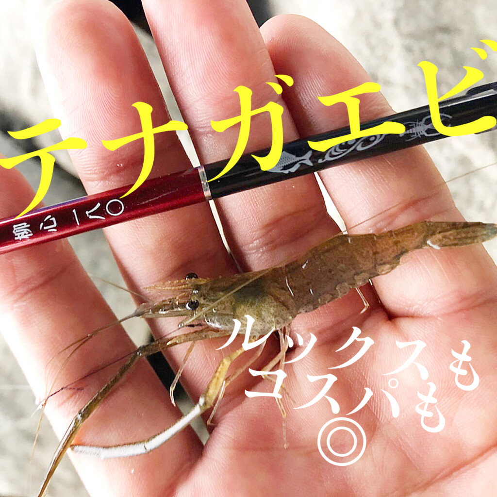 テナガエビ釣りがアツい季節！】1本持っとく!? ルックスもコスパ