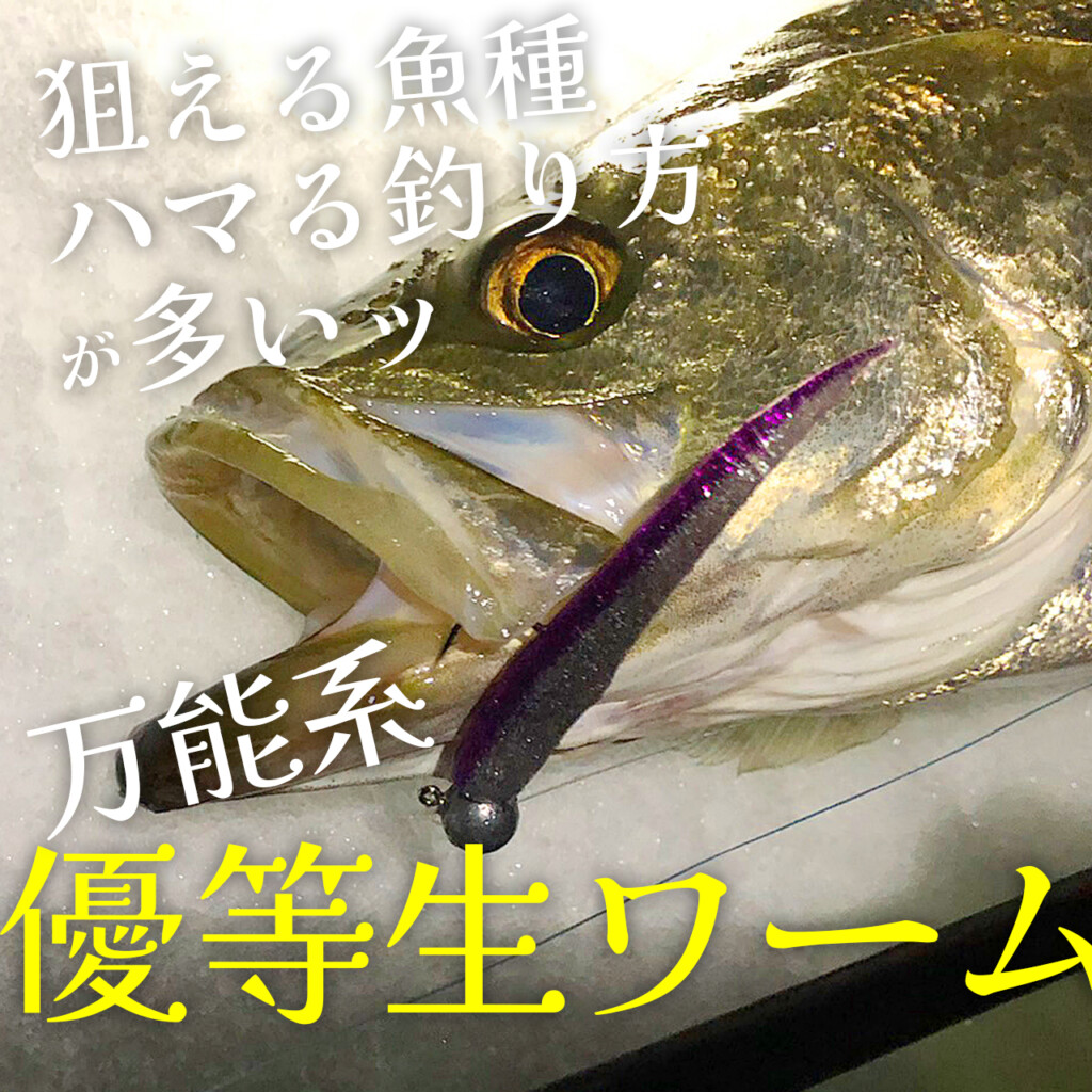 ★バス釣りルアーワームまとめ売り‼︎ダッジ、ダウィンチなど Amazon.co.jp: ソフトワームルアー | 45mm バス釣りルアー | 2.4