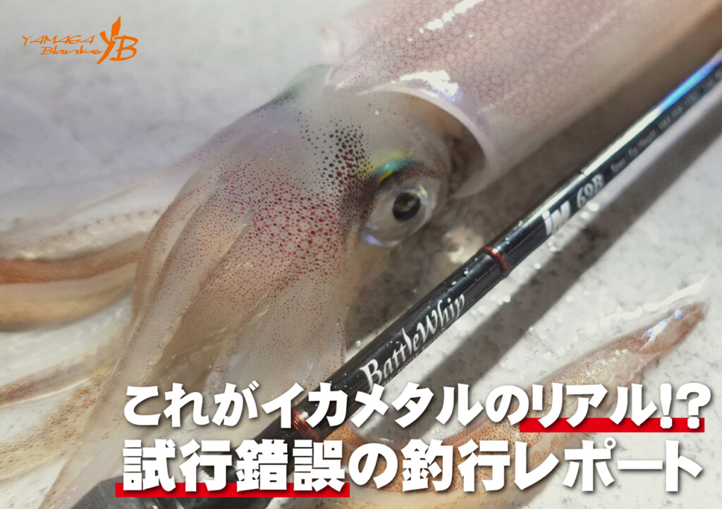 試行錯誤で釣果を伸ばす！ヤマガブランクススタッフのリアルな