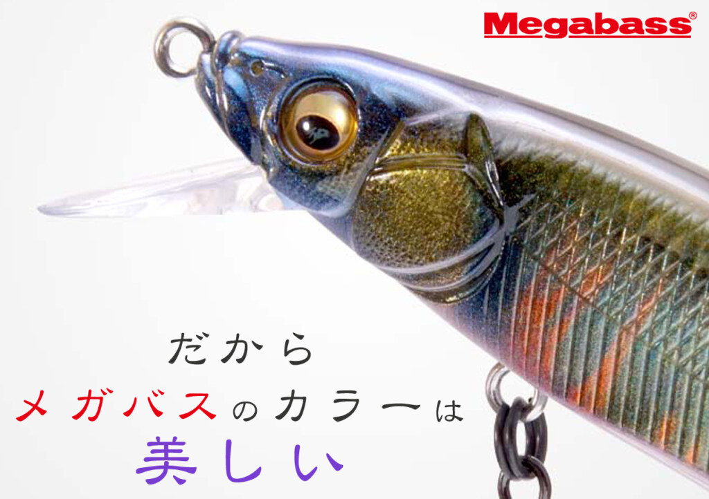 FA（ファインアートフィニッシュ）というカラーが釣れる理由 | 釣りの