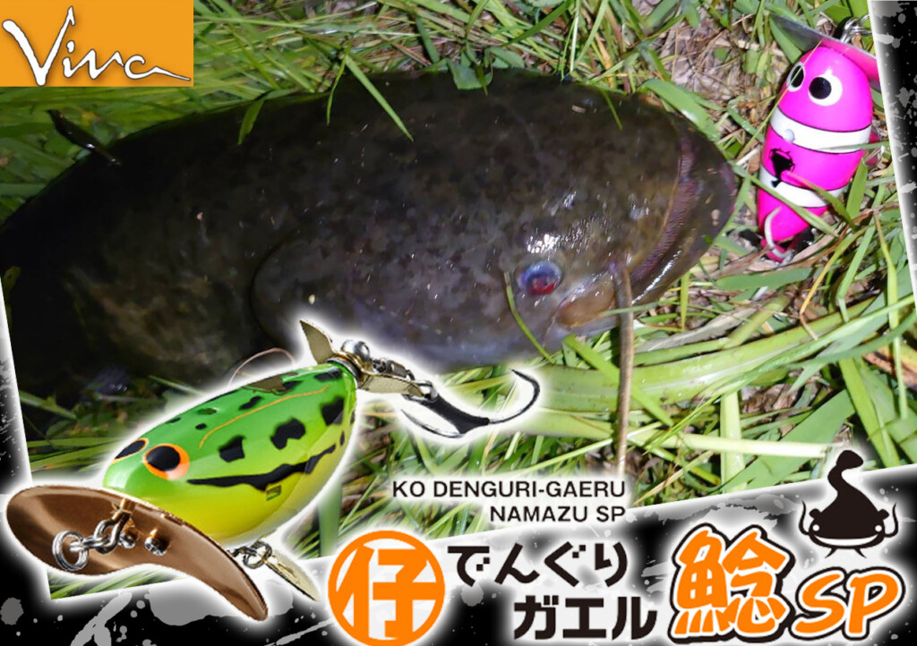 ナマズ でんぐりガエル鯰SP】人気沸騰！ナマズ愛が強すぎる完全なる鯰ナマズ