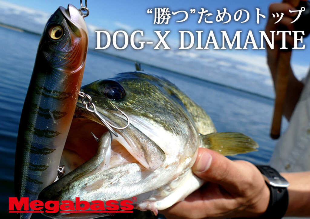 全米を席巻中！”勝つ”ためのペンシルベイト「DOG-X DIAMANTE（ドッグ
